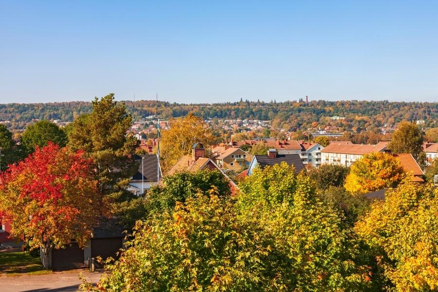 Föreläsare i Falköping